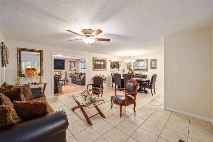 Living room/dining room/fireplace room