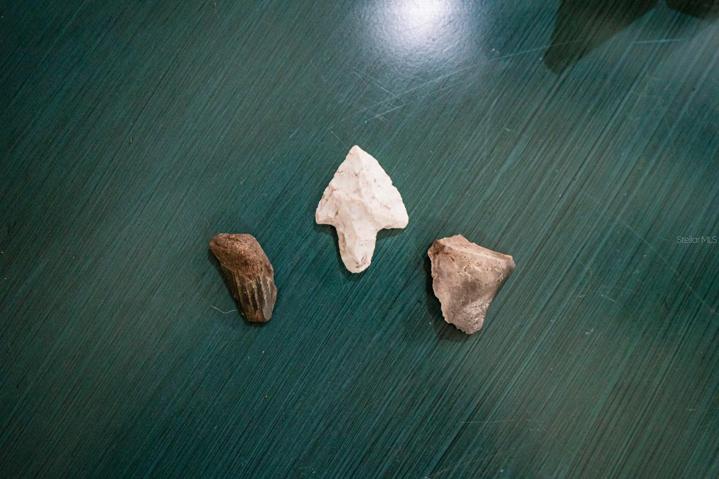 artifacts found on the property