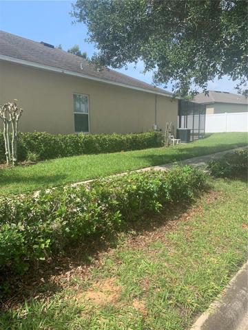 Left hand side garden view