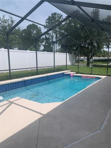 Large 34x13 saltWater pool