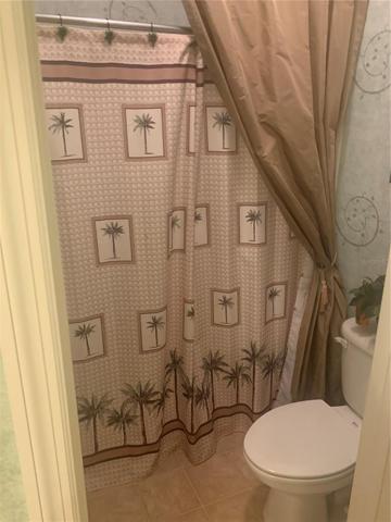 Master bath WC and shower stall