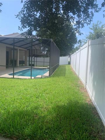Back garden area