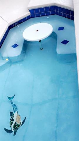 Mermaid design tile on pool floor
