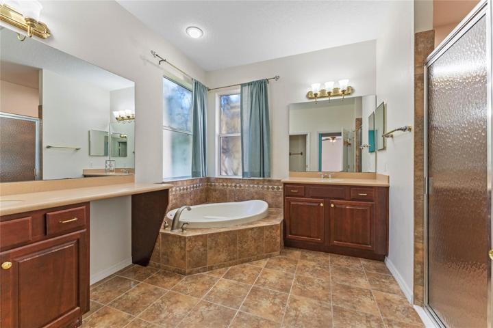 Master Bathroom - View 1