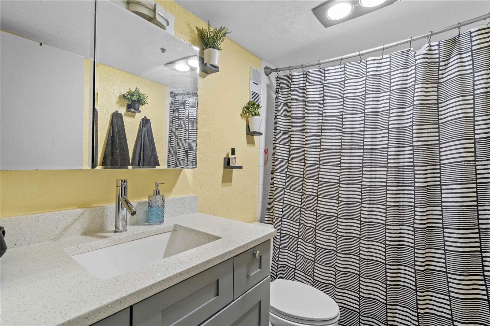 Downstairs Master bathroom