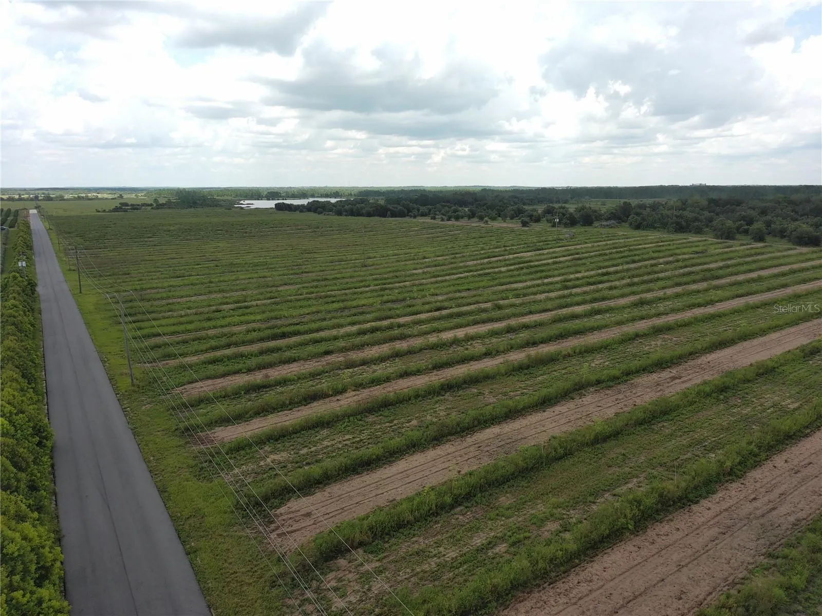 Haines City, Florida 33844, 0 , 0 ,0,Land,For Sale,KUDER RANCH,0,T3461719