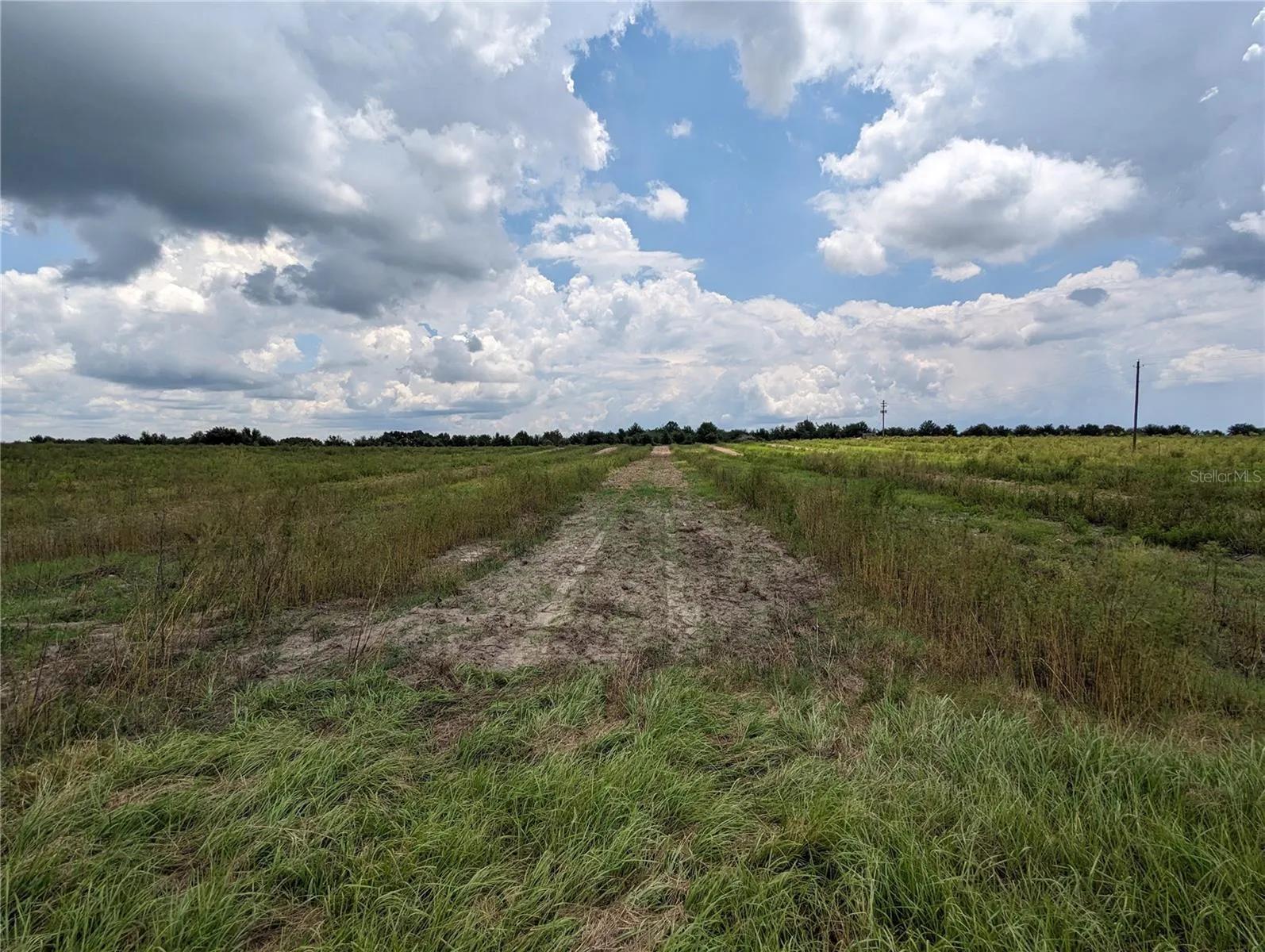 Haines City, Florida 33844, 0 , 0 ,0,Land,For Sale,KUDER RANCH,0,T3461719