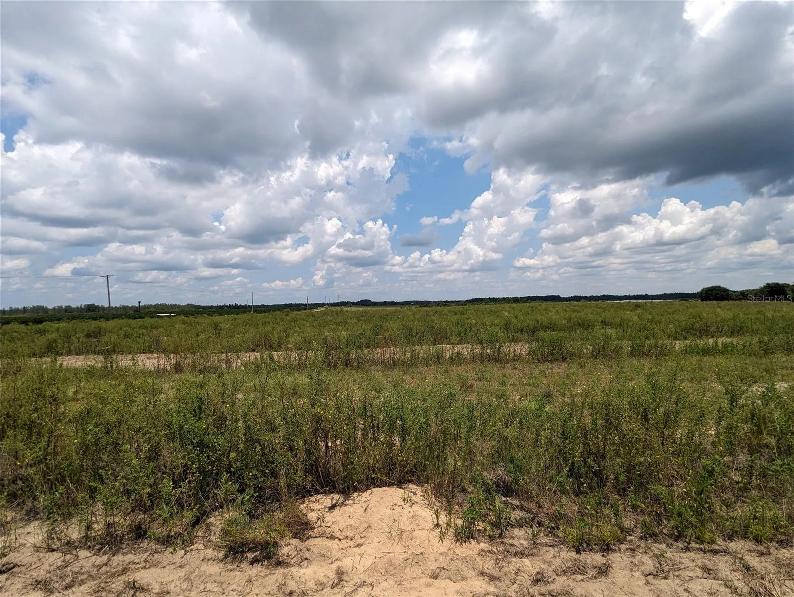 Haines City, Florida 33844, 0 , 0 ,0,Land,For Sale,KUDER RANCH,0,T3461719