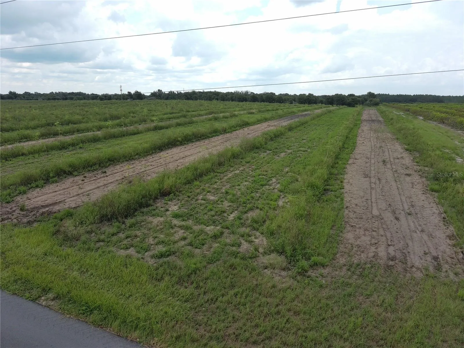 Haines City, Florida 33844, 0 , 0 ,0,Land,For Sale,KUDER RANCH,0,T3461719