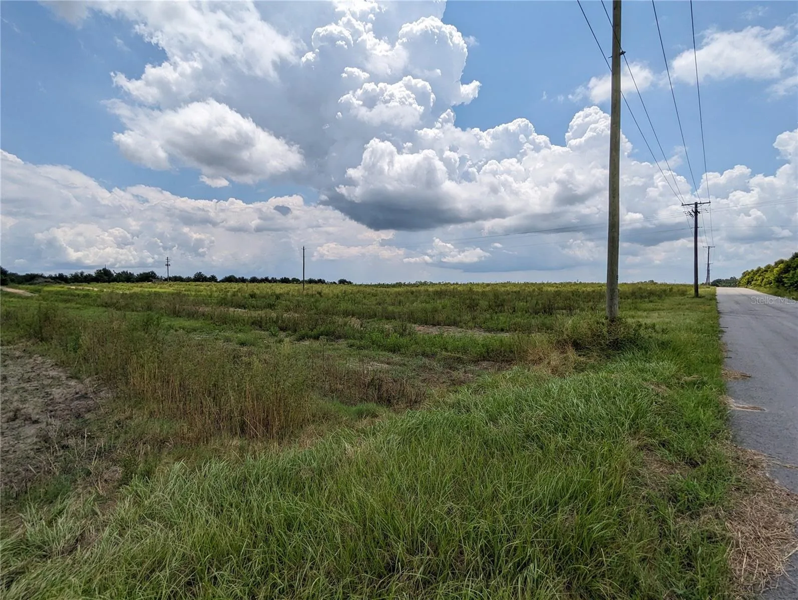 Haines City, Florida 33844, 0 , 0 ,0,Land,For Sale,KUDER RANCH,0,T3461719