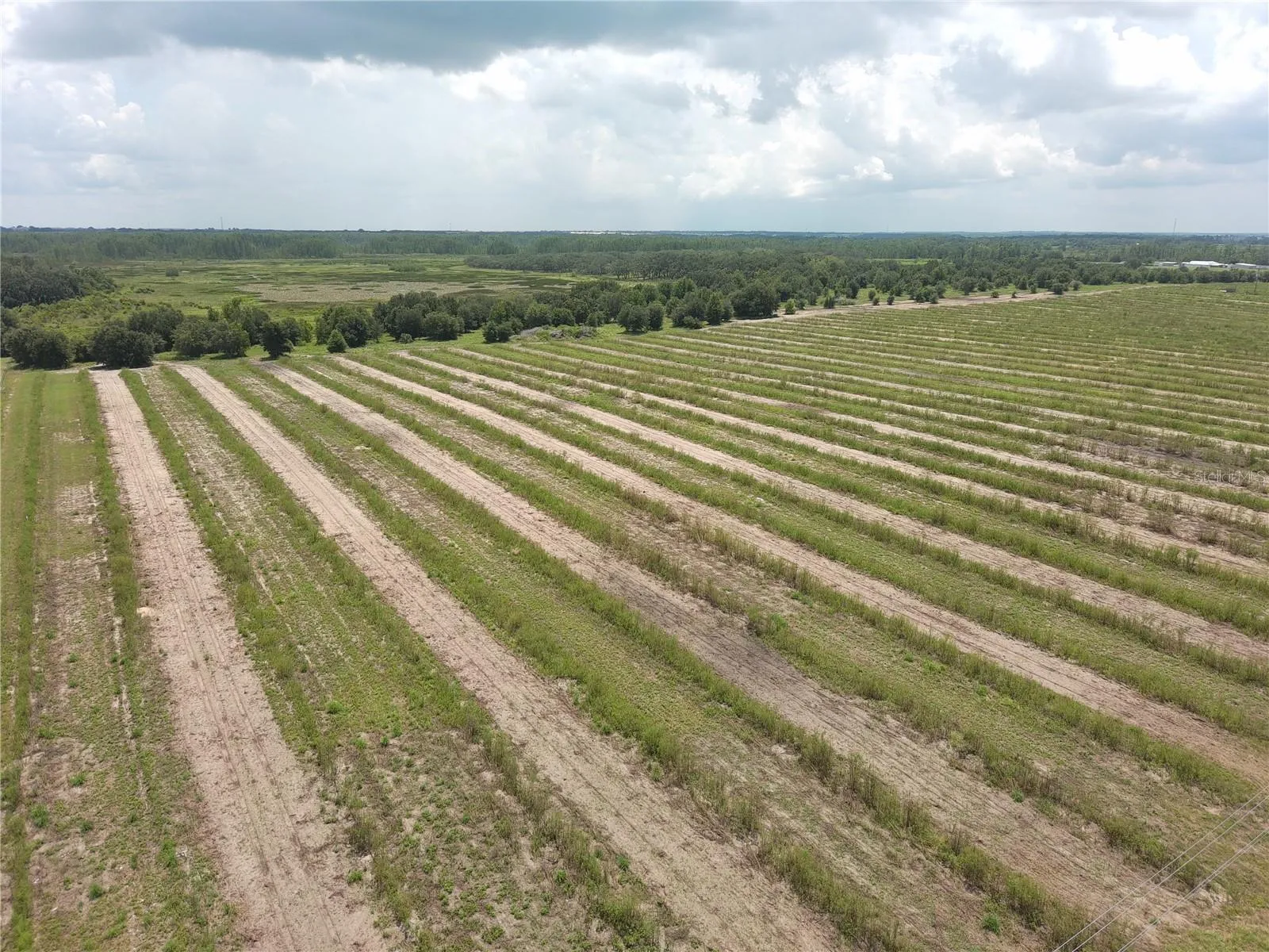 Haines City, Florida 33844, 0 , 0 ,0,Land,For Sale,KUDER RANCH,0,T3461719