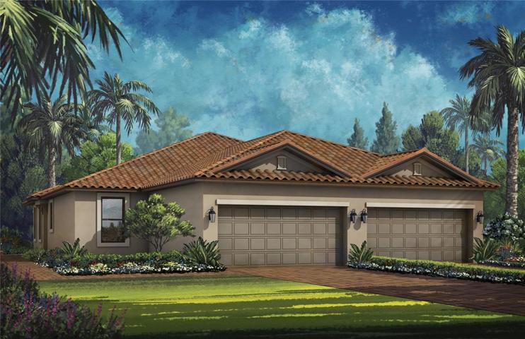 Ibis Rendering