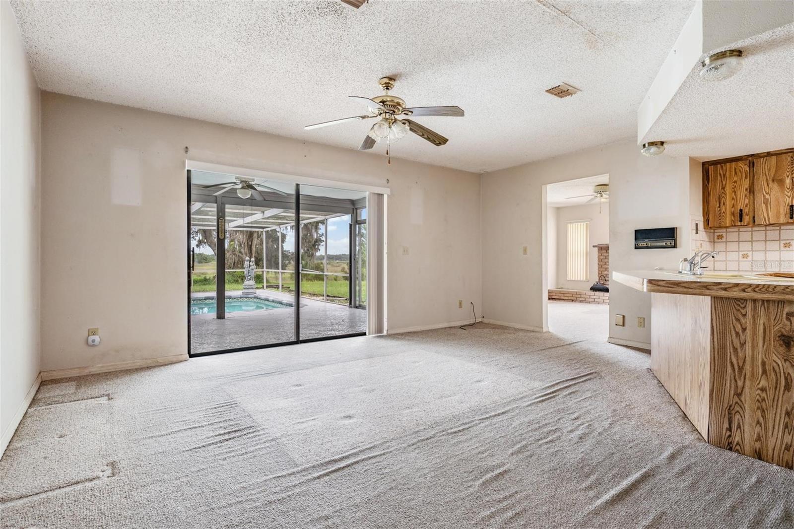 Living Room or Dining Room off the kitchen
