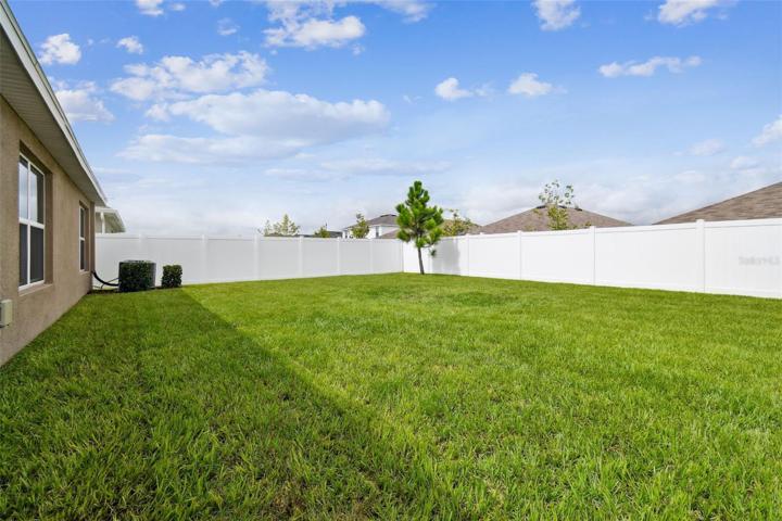Luscious back lawn