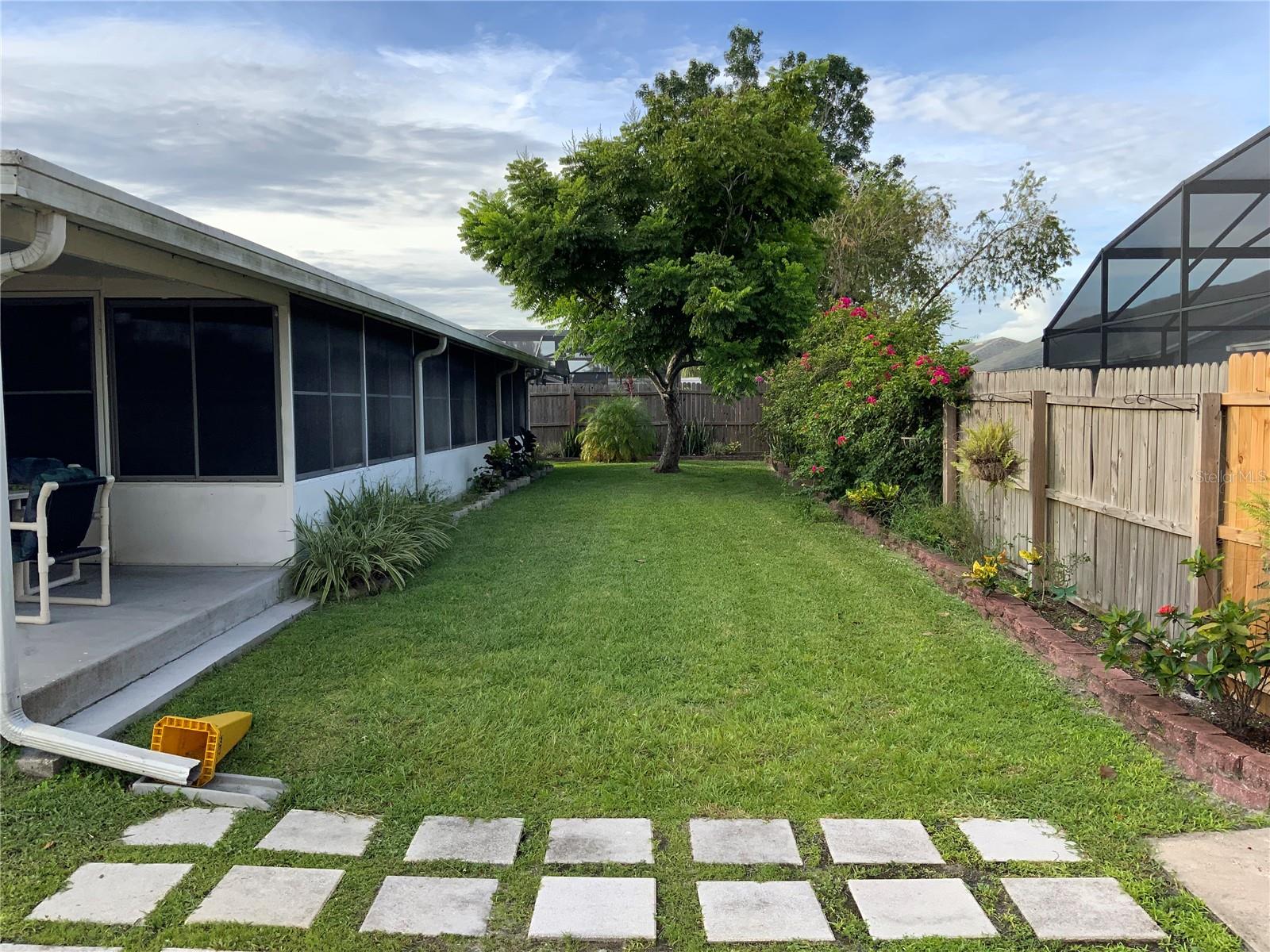 Back yard
