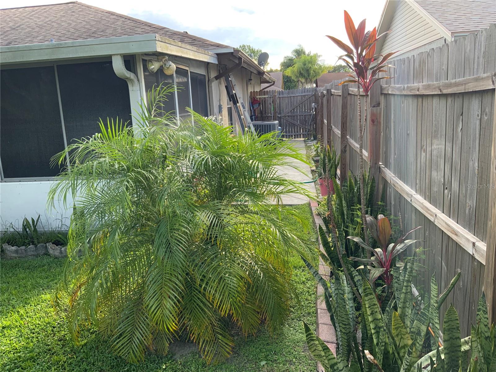 Side yard