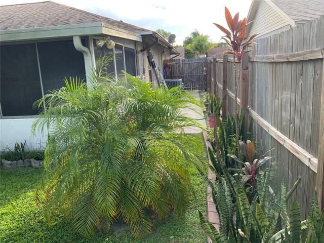 Side yard