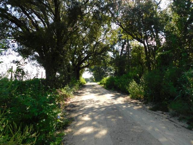 Beautiful drive to the property, hardpacked road.
