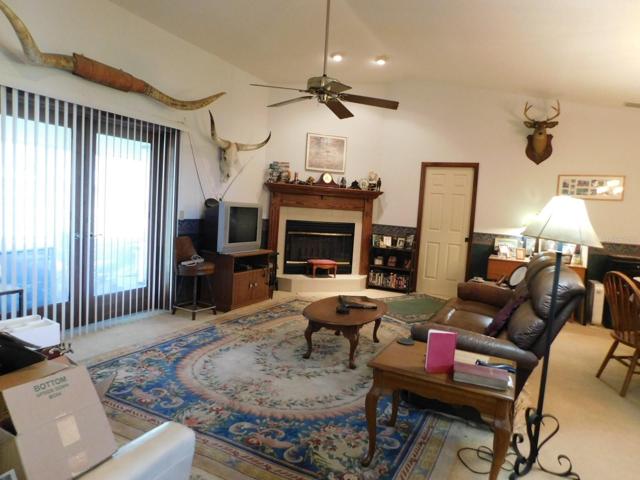 Fireplace in living room