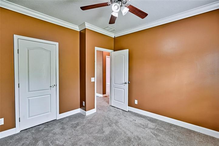 3rd Bedroom