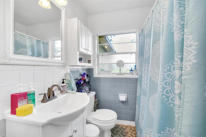 Hall Bathroom