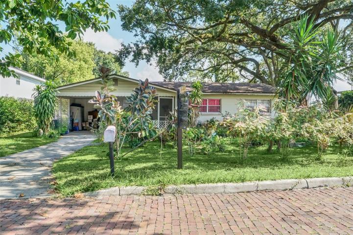 Cobblestone Street Privacy!