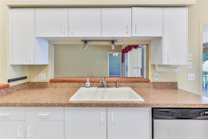 Newer Counters and Pass Thru to Living Area
