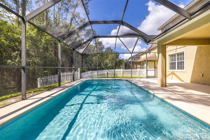 Pool, Lanai, Patio and Fenced Dog-Run with Conservation Wooded-View