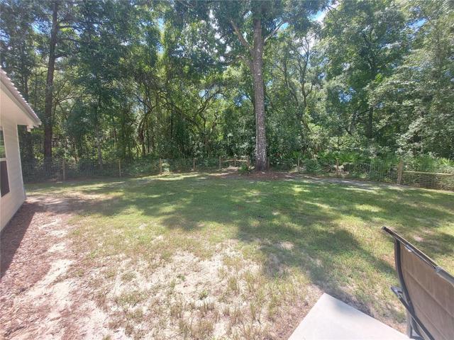 Wooded backyard