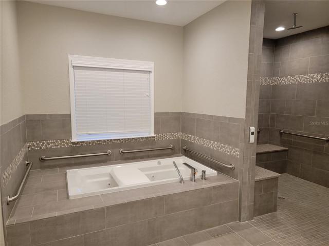 Master Bath Tub and Shower
