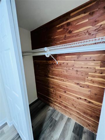 Cedar closet