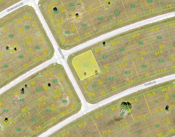 County map of lot