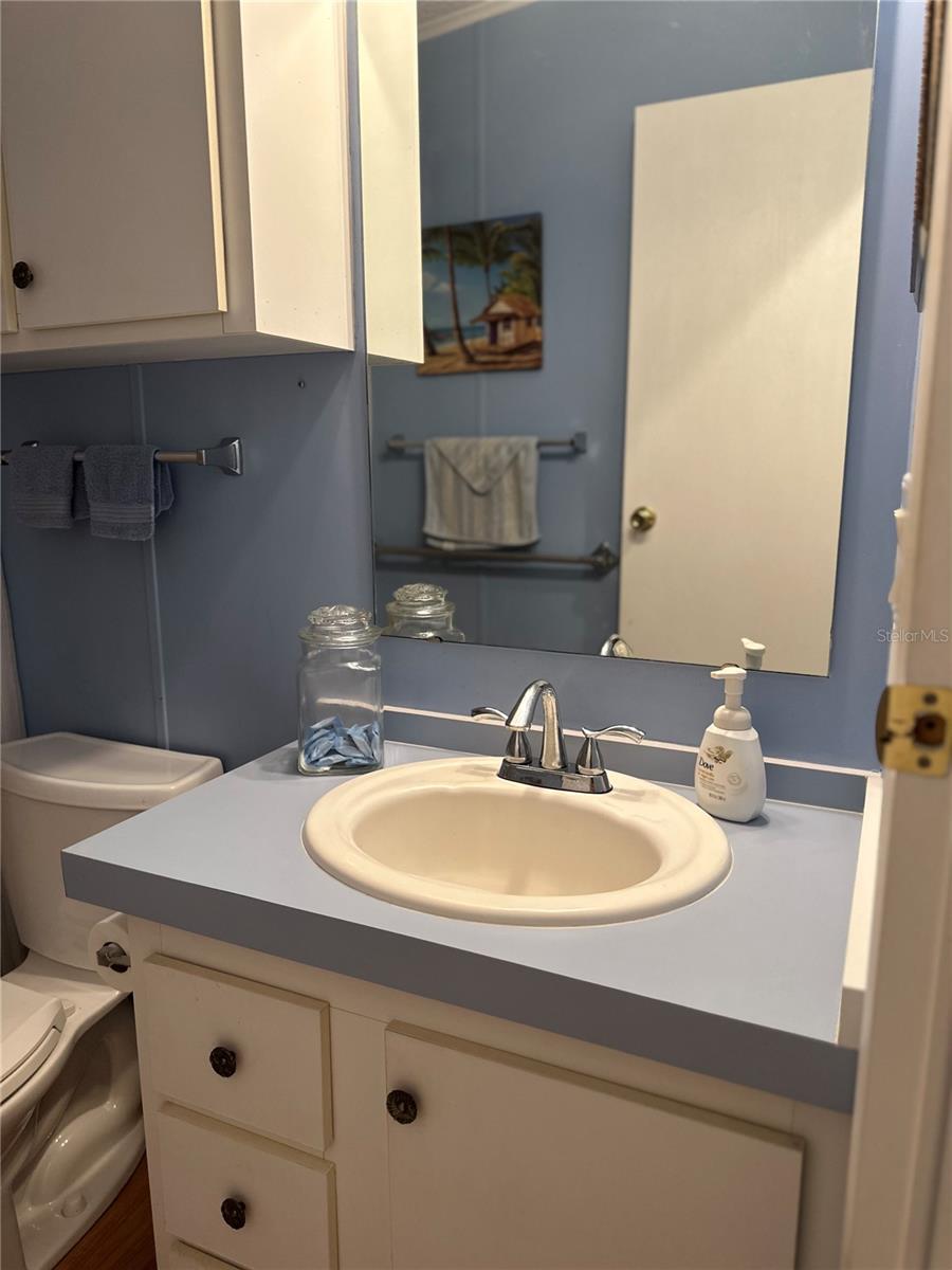 Guest Bathtub