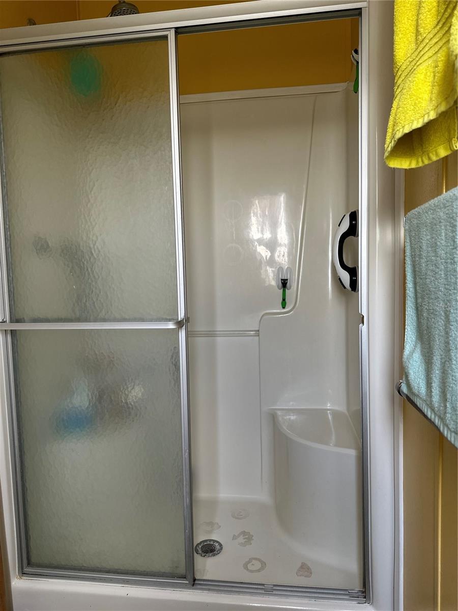 Master bath Shower