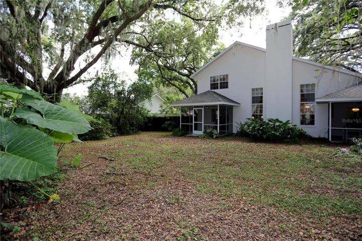 View of the backyard.