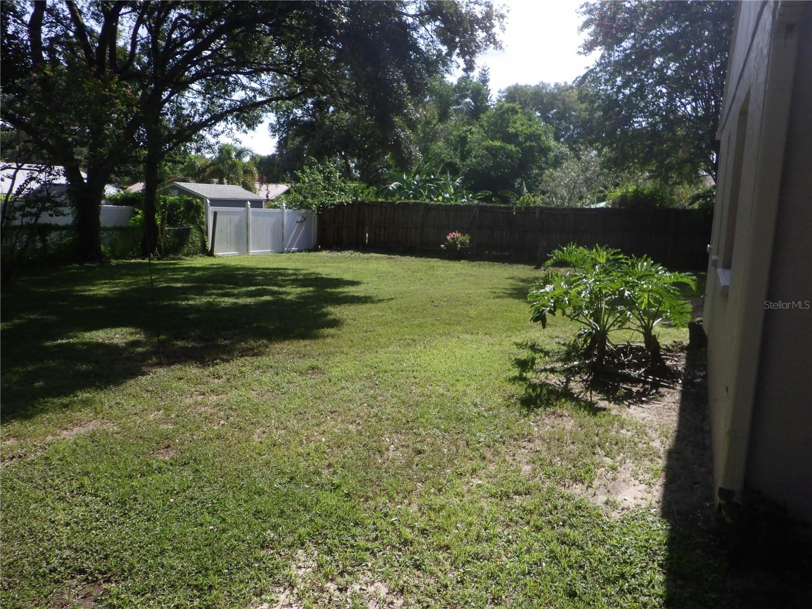 backyard