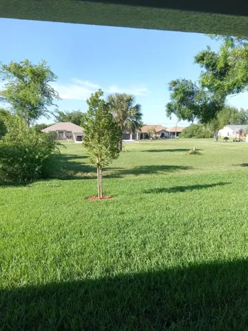 Back Yard View From Lanai