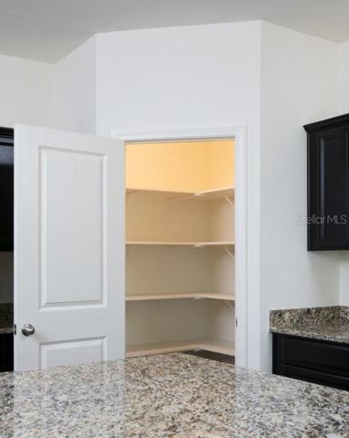 Walk-in Pantry