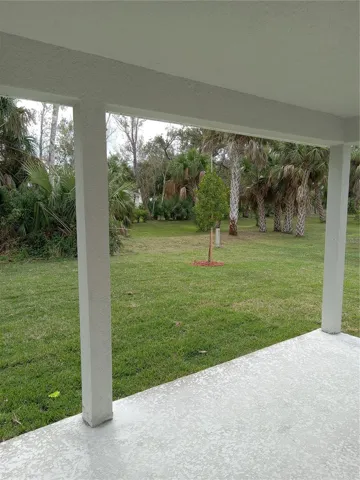 Back yard #2