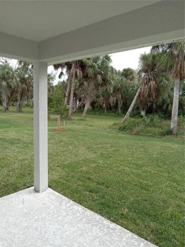 Back yard #3