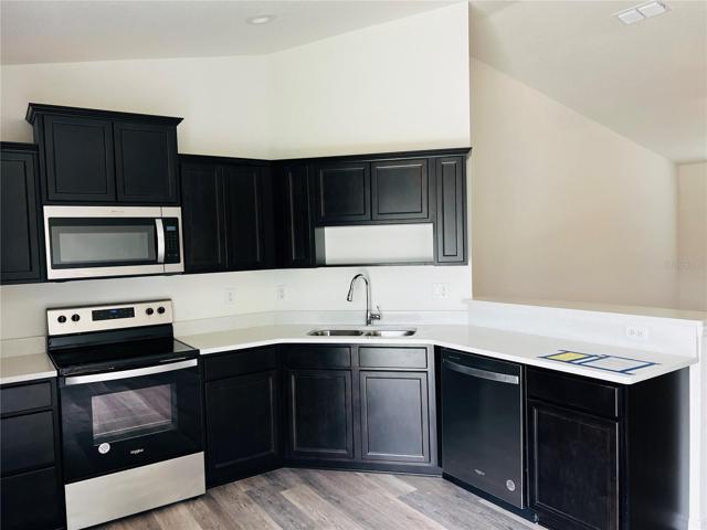 Dark timeless Cabinets with Quartz Counters
