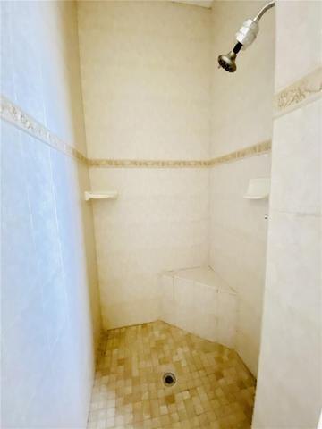 Guest Bath Roman Shower