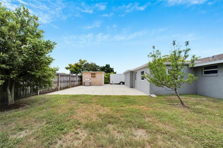Large Backyard with Star Fruit Tree and Peach Tree