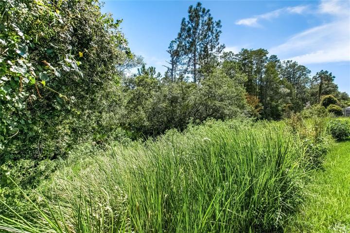 View of the preserve from back yard.