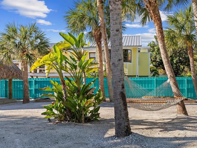 Tropical landscape
