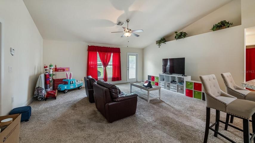 Spacious Living Room