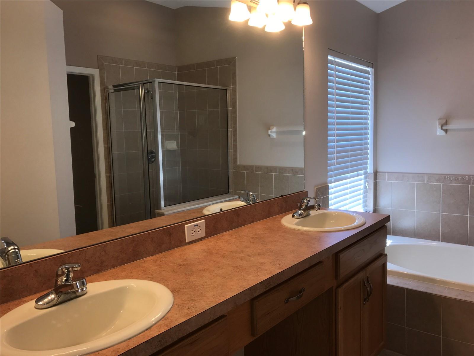 15807 Leatherleaf Lane, Land O Lakes, Florida 34638, 4 Bedrooms Bedrooms, ,2 BathroomsBathrooms,Residential,For Sale,LEATHERLEAF,T3463008