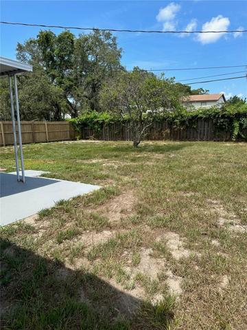 Back yard