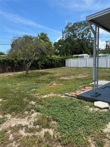 Back yard