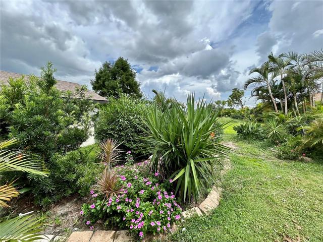 Beautiful backyard